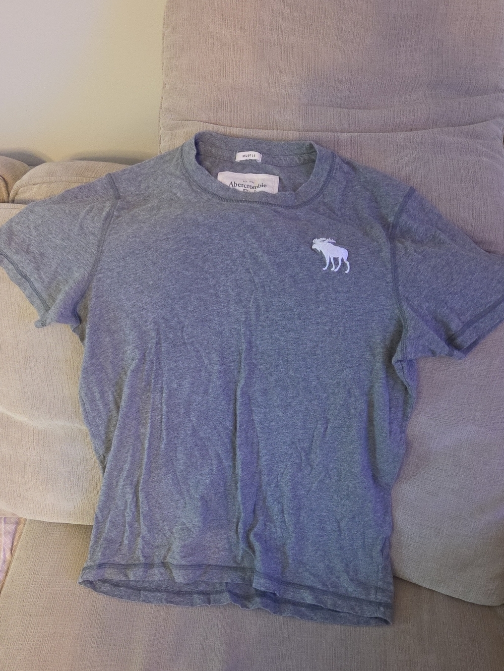 Abercrombie & Fitch Men's Heather Gray Short Sleeve Logo Tee